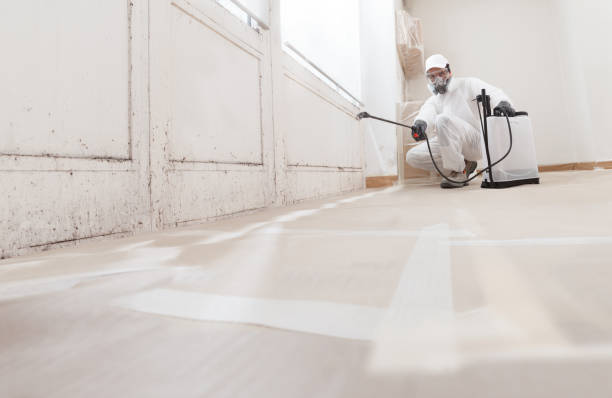 24/7 Emergency Attic Mold Removal experts in Springfield, MA